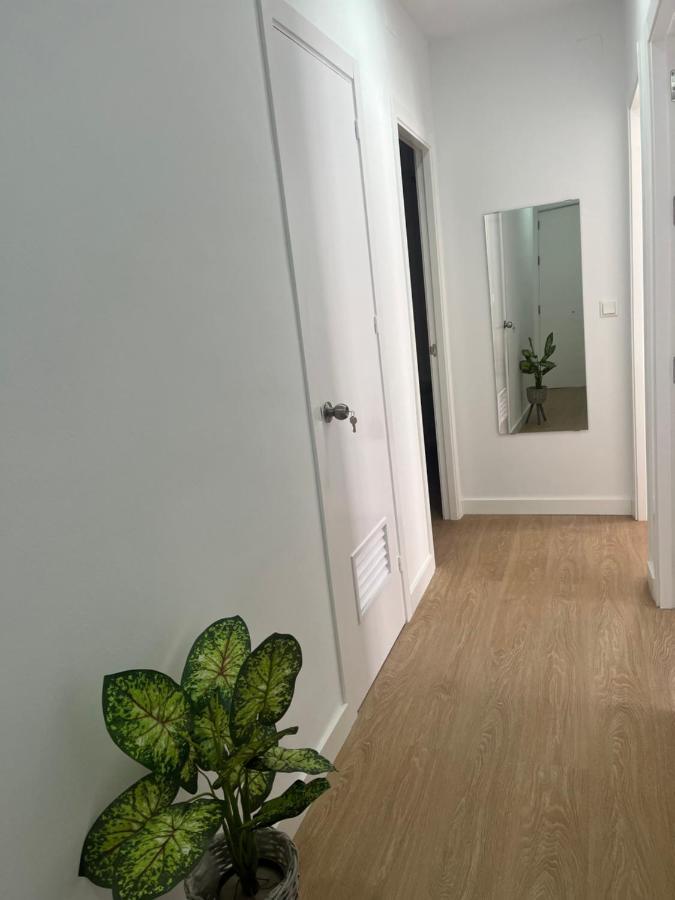 Apartamentos Larios Centro Санлукар-де-Баррамеда Екстер'єр фото